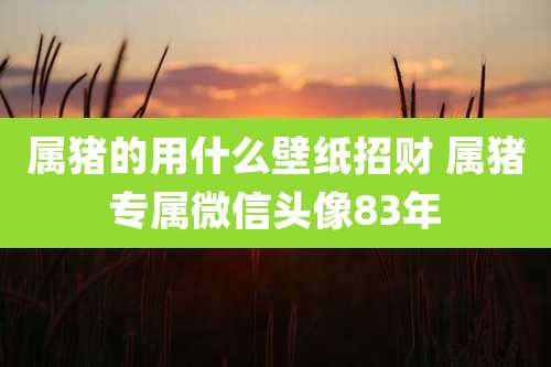 属猪的用什么壁纸招财 属猪专属微信头像83年