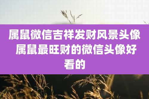 属鼠微信吉祥发财风景头像 属鼠最旺财的微信头像好看的