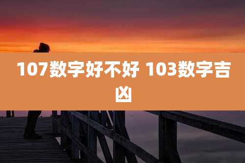 107数字好不好 103数字吉凶