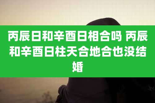 丙辰日和辛酉日相合吗 丙辰和辛酉日柱天合地合也没结婚