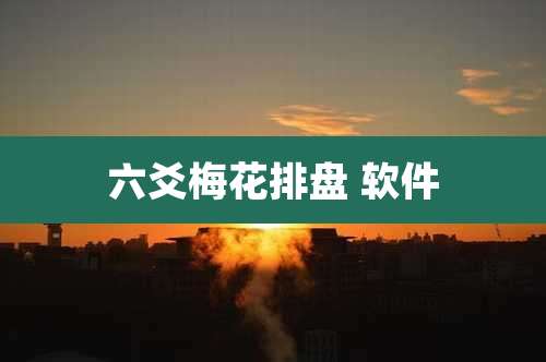 六爻梅花排盘 软件