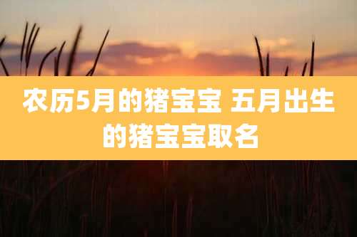 农历5月的猪宝宝 五月出生的猪宝宝取名