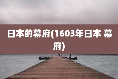 日本的幕府(1603年日本 幕府)