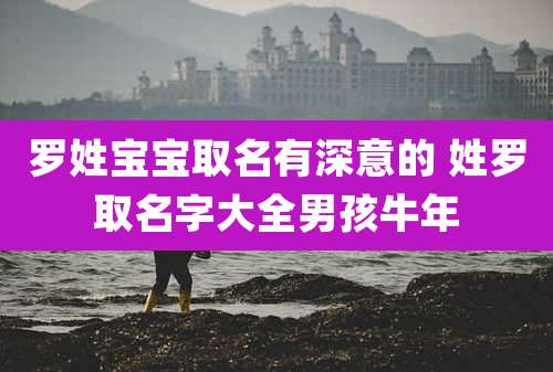 罗姓宝宝取名有深意的 姓罗取名字大全男孩牛年