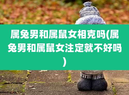 属兔男和属鼠女相克吗(属兔男和属鼠女注定就不好吗)