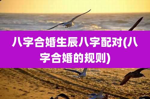 八字合婚生辰八字配对(八字合婚的规则)