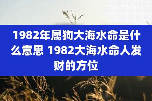 1982年属狗大海水命是什么意思 1982大海水命人发财的方位