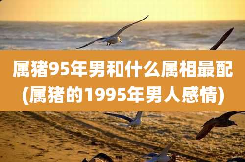 属猪95年男和什么属相最配(属猪的1995年男人感情)