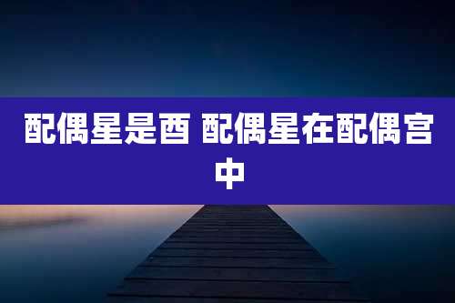 配偶星是酉 配偶星在配偶宫中