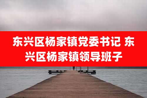 东兴区杨家镇党委书记 东兴区杨家镇领导班子