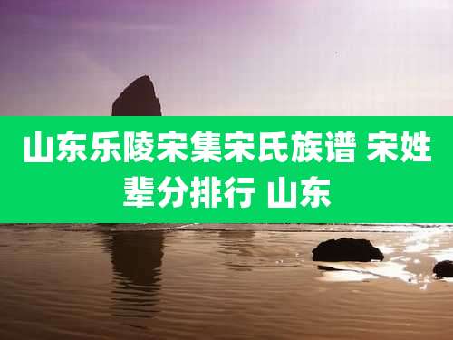 山东乐陵宋集宋氏族谱 宋姓辈分排行 山东