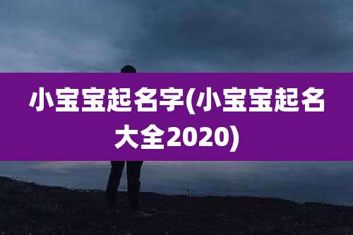 小宝宝起名字(小宝宝起名大全2020)