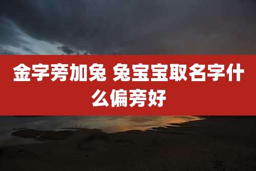 金字旁加兔 兔宝宝取名字什么偏旁好