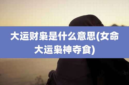 大运财枭是什么意思(女命大运枭神夺食)