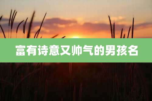 富有诗意又帅气的男孩名