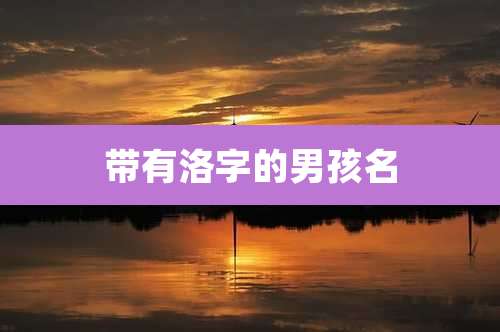 带有洛字的男孩名