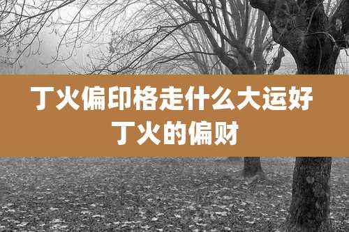 丁火偏印格走什么大运好 丁火的偏财