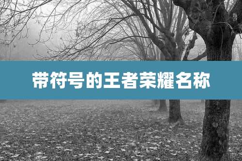 带符号的王者荣耀名称