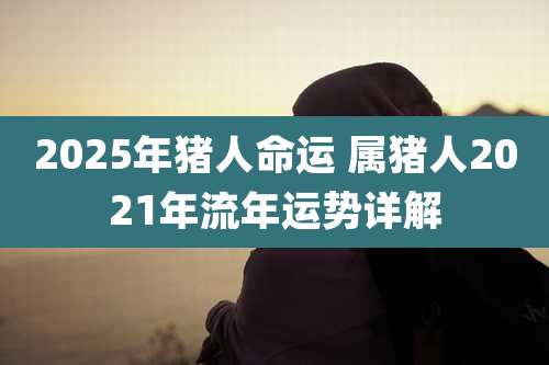 2025年猪人命运 属猪人2021年流年运势详解