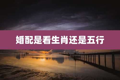 婚配是看生肖还是五行