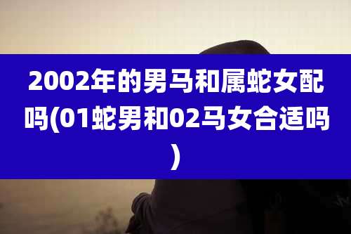 2002年的男马和属蛇女配吗(01蛇男和02马女合适吗)