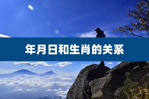 年月日和生肖的关系