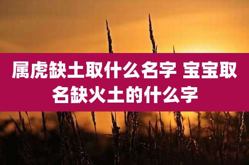 属虎缺土取什么名字 宝宝取名缺火土的什么字