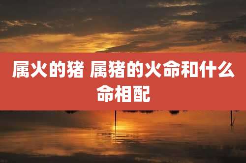 属火的猪 属猪的火命和什么命相配