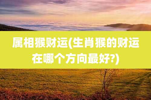 属相猴财运(生肖猴的财运在哪个方向最好?)