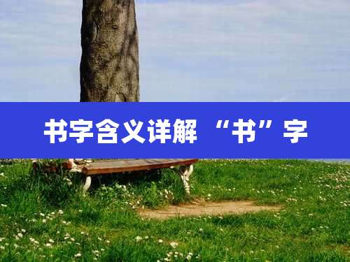 书字含义详解 “书”字