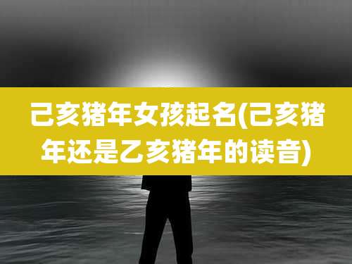 己亥猪年女孩起名(己亥猪年还是乙亥猪年的读音)