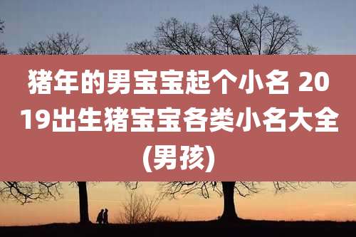 猪年的男宝宝起个小名 2019出生猪宝宝各类小名大全(男孩)