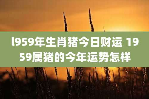 l959年生肖猪今日财运 1959属猪的今年运势怎样