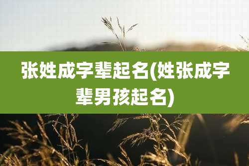 张姓成字辈起名(姓张成字辈男孩起名)