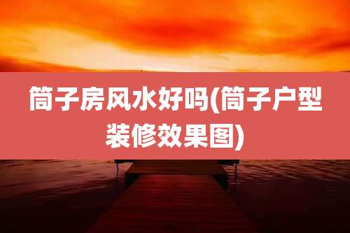 筒子房风水好吗(筒子户型装修效果图)