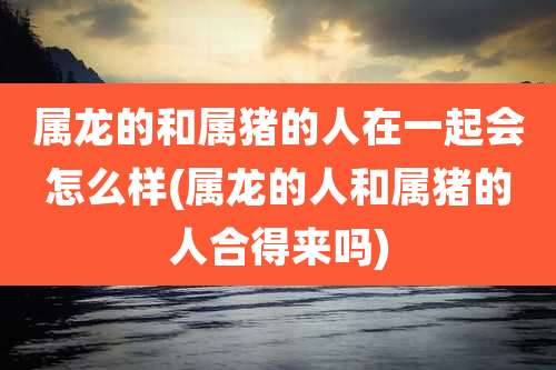 属龙的和属猪的人在一起会怎么样(属龙的人和属猪的人合得来吗)