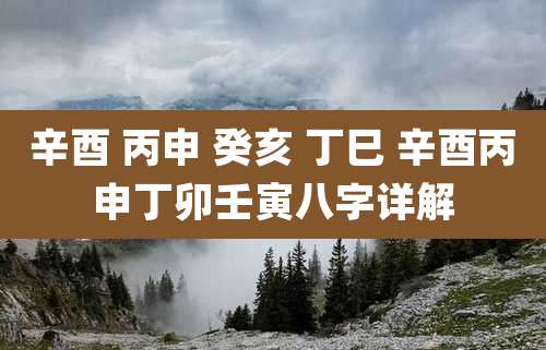 辛酉 丙申 癸亥 丁巳 辛酉丙申丁卯壬寅八字详解