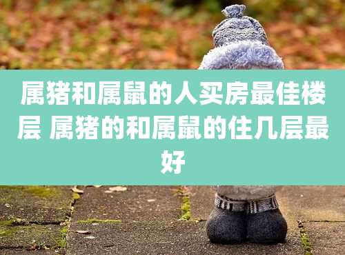 属猪和属鼠的人买房最佳楼层 属猪的和属鼠的住几层最好