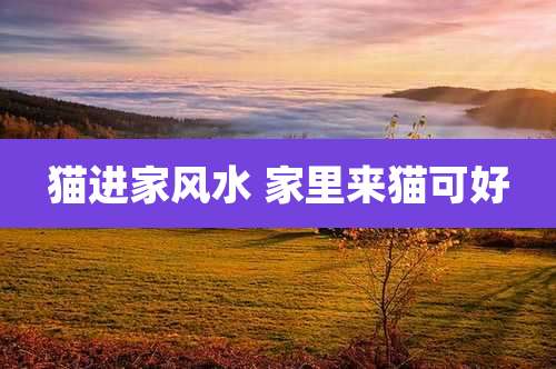 猫进家风水 家里来猫可好
