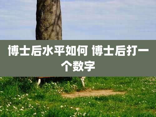 博士后水平如何 博士后打一个数字