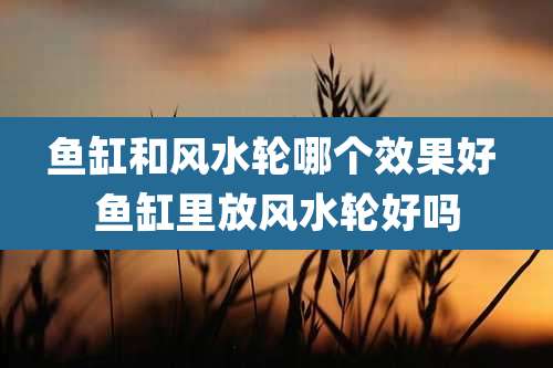 鱼缸和风水轮哪个效果好 鱼缸里放风水轮好吗