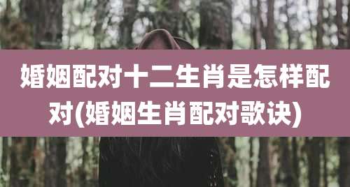 婚姻配对十二生肖是怎样配对(婚姻生肖配对歌诀)