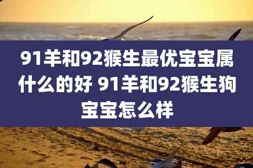 91羊和92猴生最优宝宝属什么的好 91羊和92猴生狗宝宝怎么样