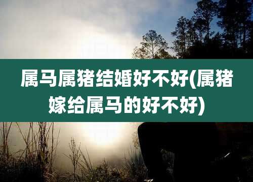 属马属猪结婚好不好(属猪嫁给属马的好不好)