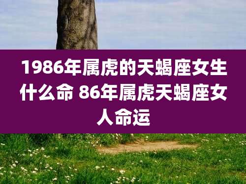 1986年属虎的天蝎座女生什么命 86年属虎天蝎座女人命运