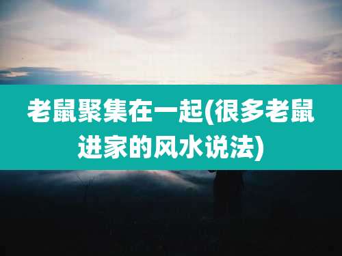 老鼠聚集在一起(很多老鼠进家的风水说法)