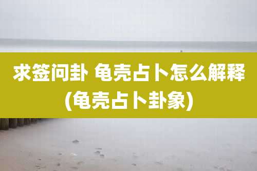 求签问卦 龟壳占卜怎么解释(龟壳占卜卦象)