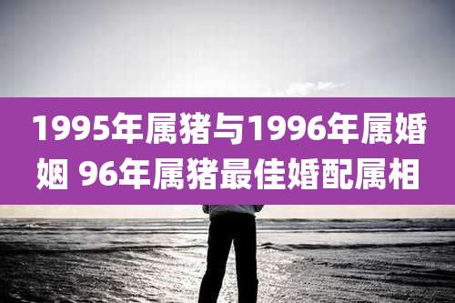 1995年属猪与1996年属婚姻 96年属猪最佳婚配属相