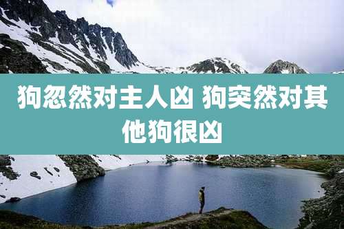 狗忽然对主人凶 狗突然对其他狗很凶