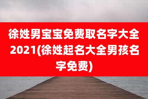 徐姓男宝宝免费取名字大全2021(徐姓起名大全男孩名字免费)